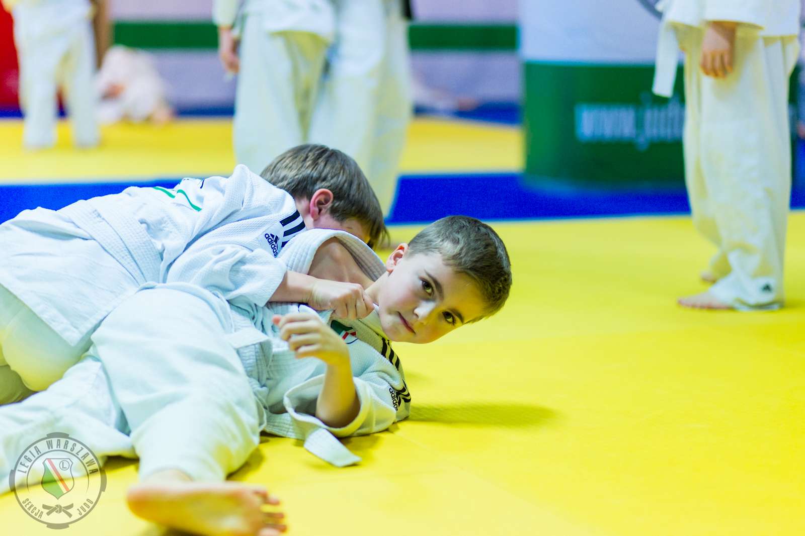 Treningi techniczne z randori - styczeń 2017